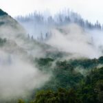 mountains, trees, forest, fog, haze, clouds, nature, outdoors, trees, trees, trees, trees, trees, forest