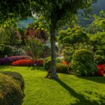 A beautiful garden with colorful flowers and lush greenery on a sunny day, perfect summer setting.